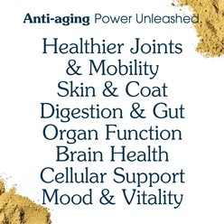 Arterra The Daily Dog Supplement Multivitamin + Joint Support Powder Supplement for Senior Dogs, 60 Scoops slide 2 of 8