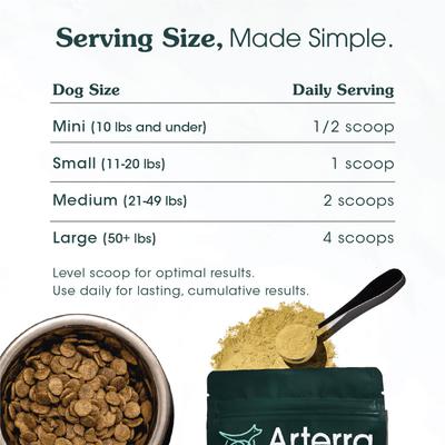 Show full view: Arterra The Daily Dog Supplement Powder Multivitamin for Adult Dogs, 120 Scoops slide 5 of 11