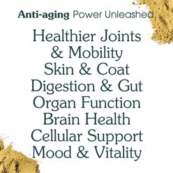 Arterra The Daily Dog Supplement Powder Multivitamin for Adult Dogs, 120 Scoops slide 2 of 8