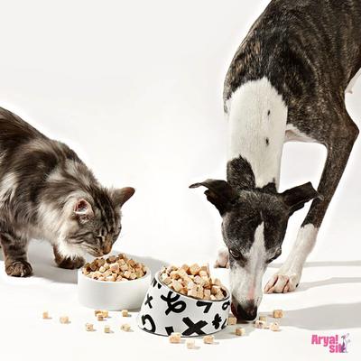 Show full view: Arya Sit Beef Liver Freeze-Dried Dog Treats, 4.68-oz jar slide 7 of 9