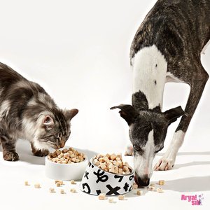 Arya Sit Strawberry Yogurt Freeze-Dried Dog Treats, 3.5-oz jar