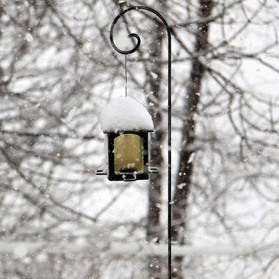 Show full view: Ashman 1/2 Black Shepherd Hook, 65-in slide 3 of 8