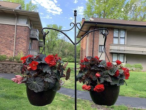 Show full view: Ashman Adjustable Shepherds Hook with Twin Hooks, 91-in, 1 count slide 3 of 8