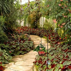 Ashman Curled Shepherd Hook, Black, 2 count slide 2 of 5