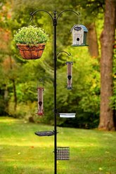 Ashman Deluxe 5 Prong Base Premium Bird Feeding Station slide 2 of 6