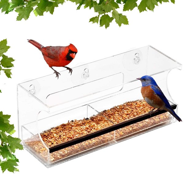 Ashman Deluxe Window Bird Feeder