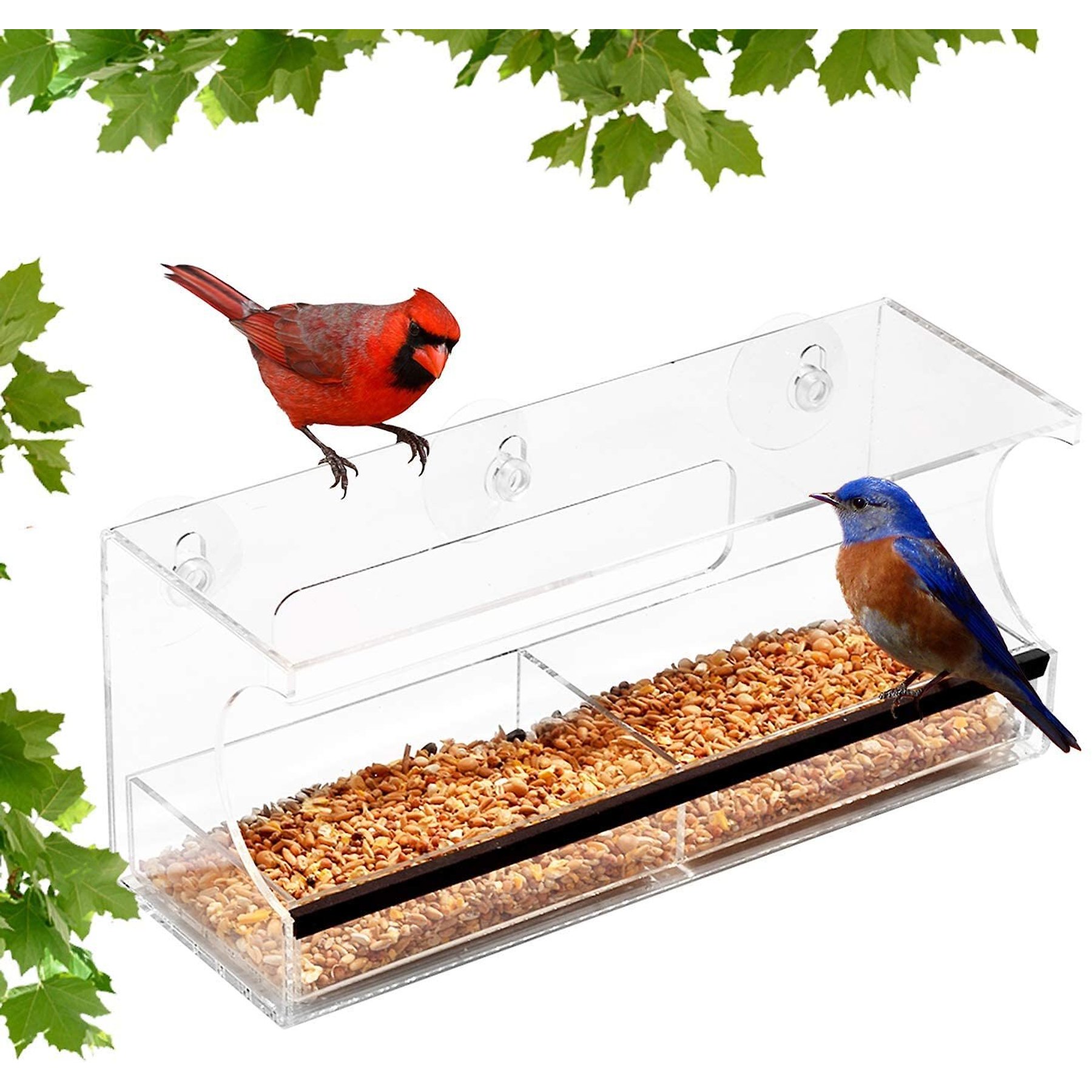 Ashman Deluxe Window Bird Feeder