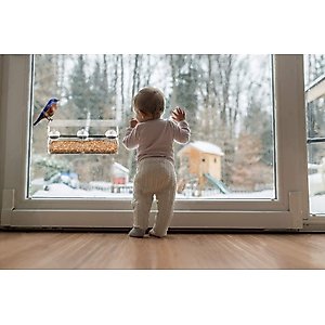 Ashman Deluxe Window Bird Feeder