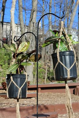 Show full view: Ashman Double Span Deck Hook, Black, 46-in, 1 count slide 4 of 5