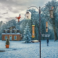 Ashman Premium Bird Feeding Station with 2 Bird Feeders slide 2 of 5