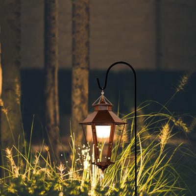 Show full view: Ashman Shepherd Hook, 37-in, 2 count slide 2 of 5