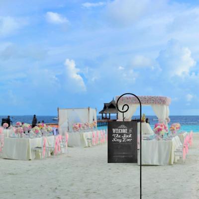 Show full view: Ashman Shepherd Hook, 65-in, 2 count slide 4 of 5