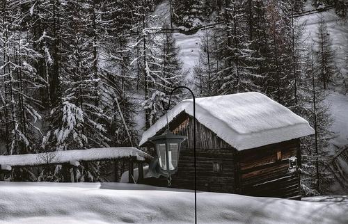 Show full view: Ashman Shepherd Hook, Black, 37-in, 1 count slide 4 of 5