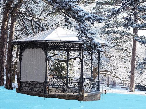 Show full view: Ashman Shepherd Hook, Black, 37-in, 6 count slide 5 of 5