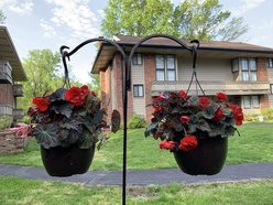 Ashman Two-Sided Shepherd Hook, 65-in, 2 count slide 2 of 5