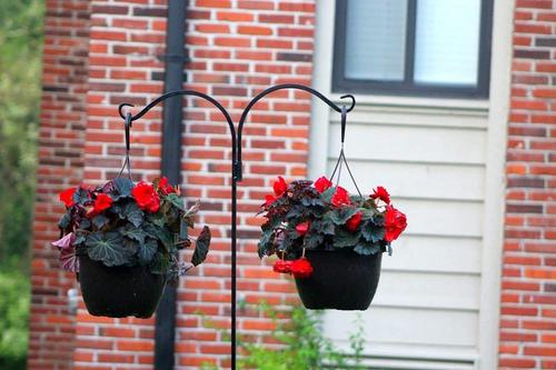 Show full view: Ashman Two-Sided Shepherd Hook, 65-in, 2 count slide 4 of 5