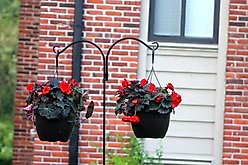 Ashman Two-Sided Shepherd Hook, 65-in, 4 count slide 2 of 5