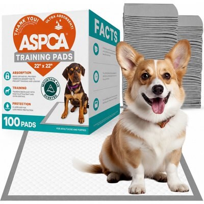 ASPCA ASPCA Dog Training Pads, 22 x 22-in, 100 count, Mountain Fresh Scented