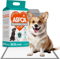 ASPCA Dog Training Pads, 30 x 28-in, 50 count, Mountain Fresh Scented