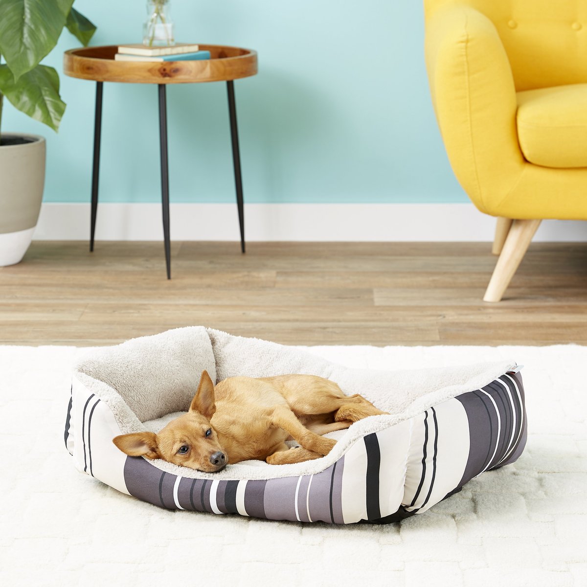 ASPCA Microtech Striped Bolster Dog Bed, Gray