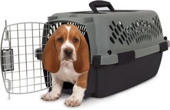 Aspen Pet Dog & Cat Kennel, Gray/Black, 19-in