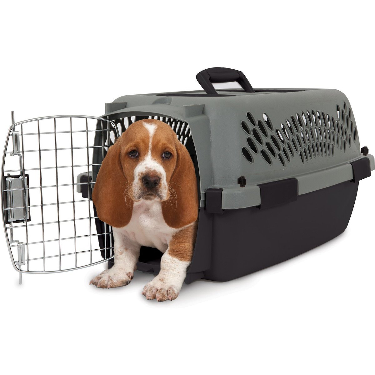 Aspen Pet Dog & Cat Kennel, Gray/Black, 19-in