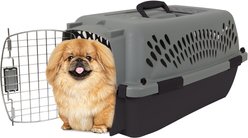 Aspen Pet Dog & Cat Kennel, Gray/Black, 23-in