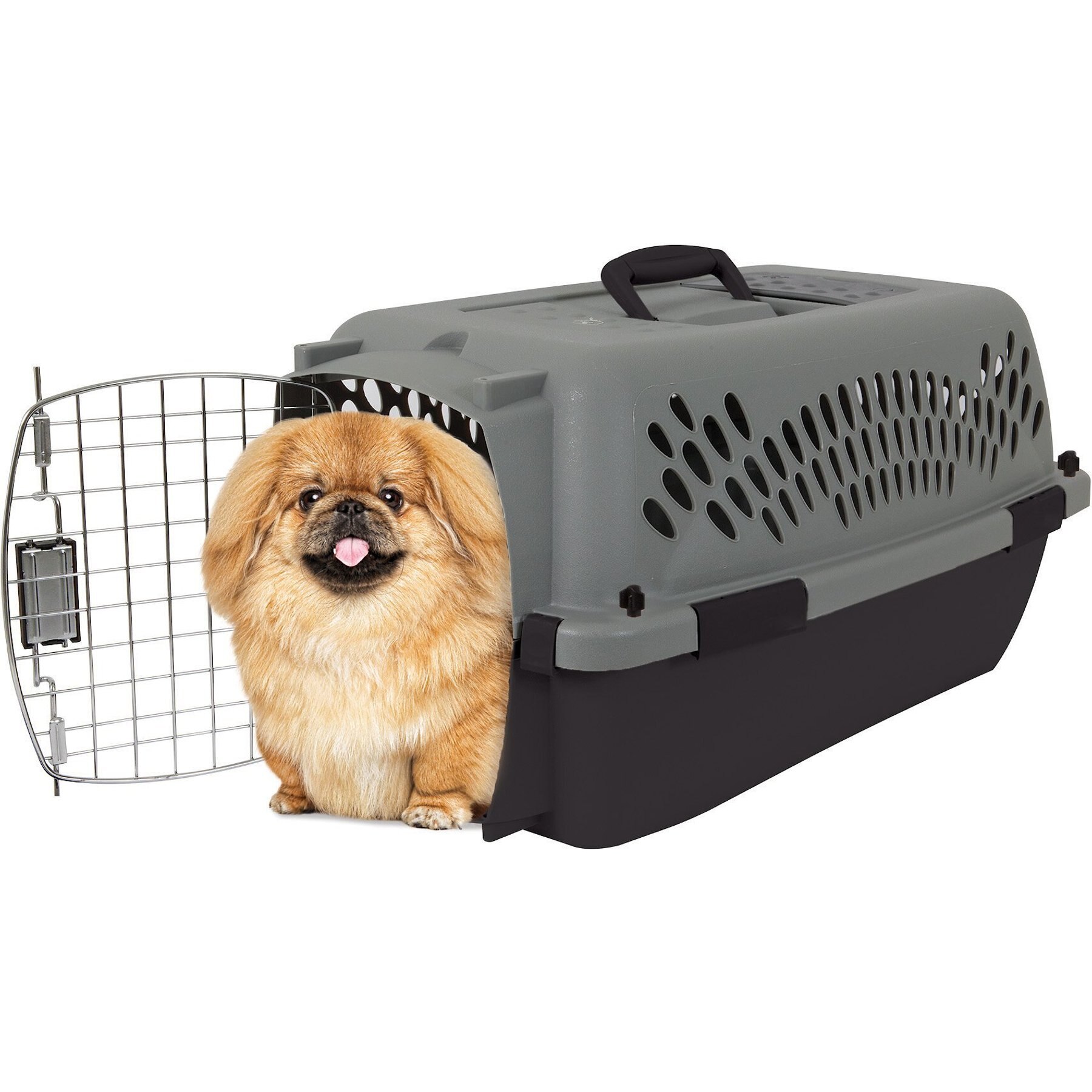 Aspen Pet Dog & Cat Kennel, Gray/Black, 23-in