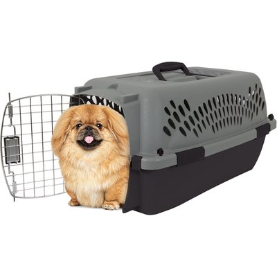 Aspen Pet Aspen Pet Dog & Cat Kennel, Gray/Black, 23-in