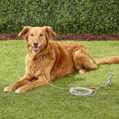 Show full view: Aspen Pet Medium Tie-Out Cable, 20-ft slide 3 of 6