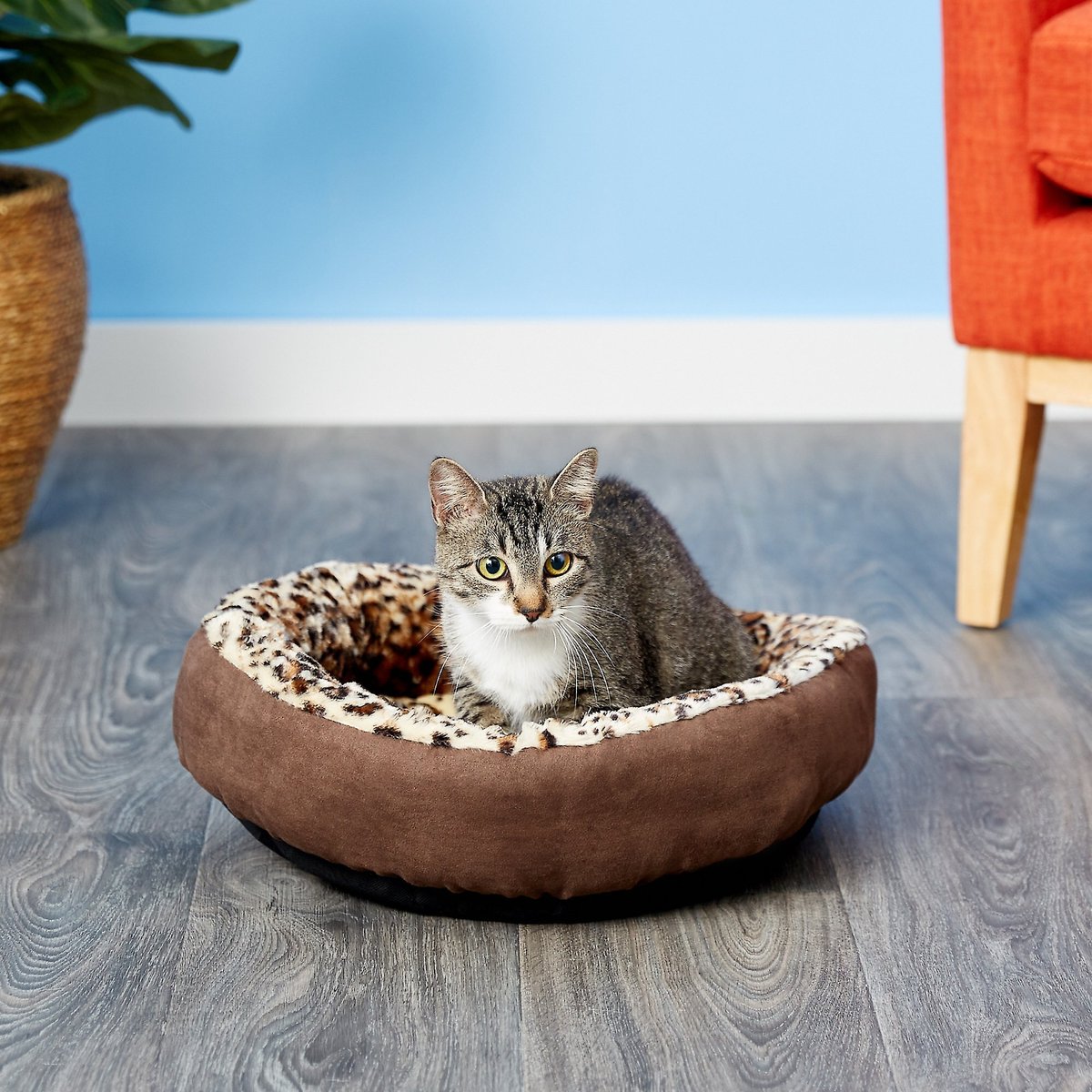 ASPEN PET Round Animal Print Bolster Cat & Dog Bed, Color Varies - Chewy.com
