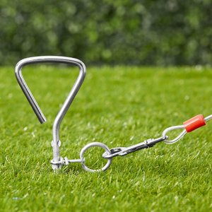 Aspen Pet Spiral Stake with 20-Ft Tie-out Cable, Medium, 16-in