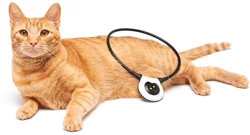 Show full view: Assisi Animal Health 2.0 Manual Dog & Cat Loop, 20-cm slide 3 of 6