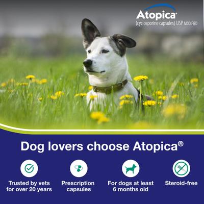 Show full view: Atopica (Cyclosporine Modified) Capsules for Dogs, 100-mg, 15 capsules slide 4 of 12
