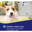 Show in main carousel: Atopica (Cyclosporine Modified) Capsules for Dogs, 100-mg, 15 capsules slide 8 of 12