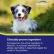 Show in main carousel: Atopica (Cyclosporine Modified) Capsules for Dogs, 100-mg, 15 capsules slide 6 of 12