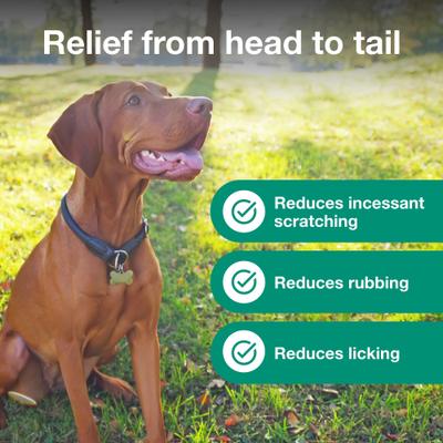 Show full view: Atopica (Cyclosporine Modified) Capsules for Dogs, 10-mg, 15 capsules slide 5 of 10