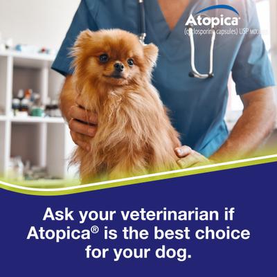 Show full view: Atopica (Cyclosporine Modified) Capsules for Dogs, 25-mg, 15 capsules slide 6 of 12