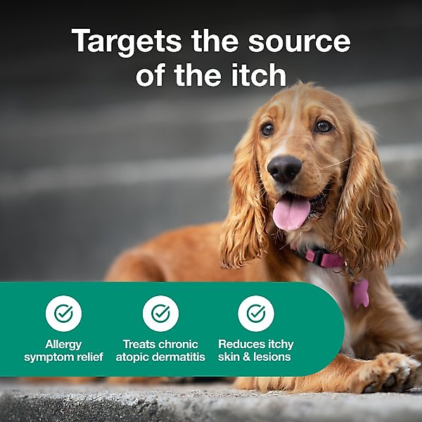 Atopica (Cyclosporine) Capsules for Dogs