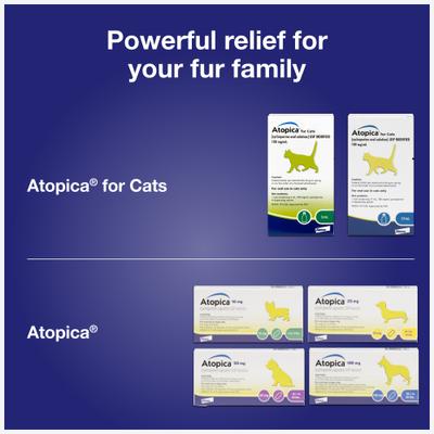 Show full view: Atopica (Cyclosporine) Oral Solution USP MODIFIED for Cats, 100 mg/mL, 17-mL slide 7 of 11