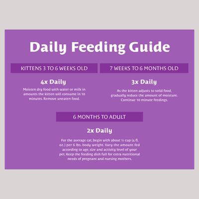 Show full view: Atta Cat Chicken & Salmon Flavor Dry Cat Food, 16-lb bag slide 8 of 11