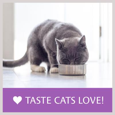 Show full view: Atta Cat Chicken & Salmon Flavor Dry Cat Food, 16-lb bag slide 10 of 11