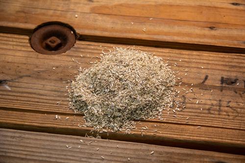 Show full view: Aubiose AubiChick Hemp Farm Animal Bedding, 22-lb bag slide 2 of 6