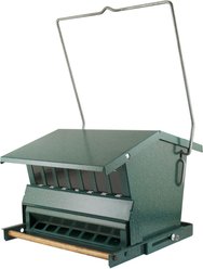 Audubon Absolute Capacity Original Squirrel-Resistant Seed Wild Bird Feeder, Large: 15-lb