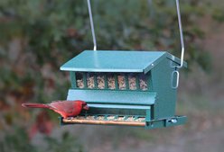 Audubon Absolute Capacity Original Squirrel-Resistant Seed Wild Bird Feeder, Large: 15-lb slide 2 of 2