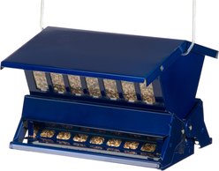 Audubon Absolute Capacity Original Squirrel-Resistant Seed Wild Bird Feeder, Medium: 12-lb