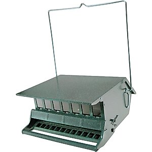 Audubon Absolute Speckled Original Bird's Delight Wild Bird Feeder, Green