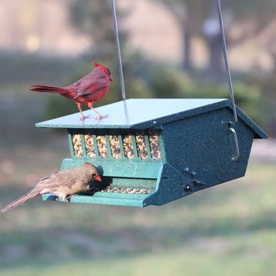 Show full view: Audubon Absolute Speckled Original Bird's Delight Wild Bird Feeder, Green slide 2 of 3