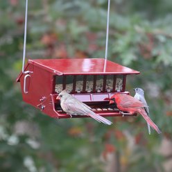 Audubon Absolute Squirrel-Resistant Bird's Delight Wild Bird Feeder, Red slide 2 of 2