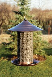 Audubon Brished Copper Sunflower Wild Bird Feeder, 3-lb slide 2 of 2